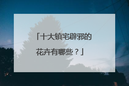 十大镇宅辟邪的花卉有哪些?