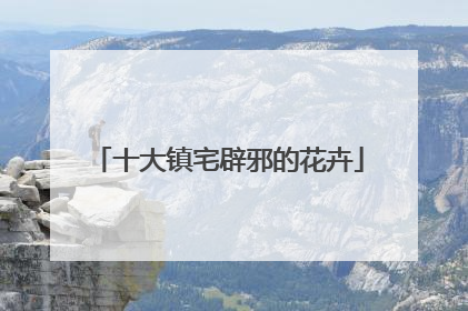 十大镇宅辟邪的花卉