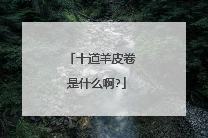 十道羊皮卷是什么啊?