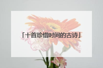 十首珍惜时间的古诗