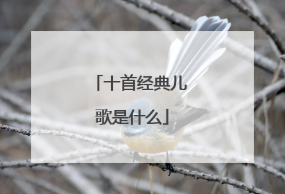 十首经典儿歌是什么