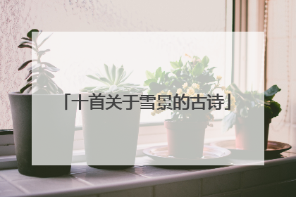 十首关于雪景的古诗