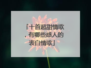 十首超甜情歌,有哪些感人的表白情歌