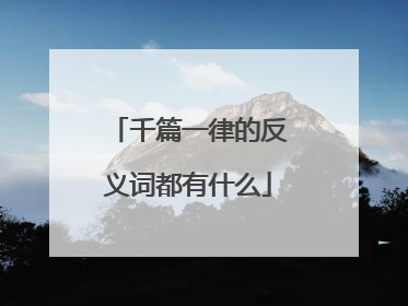 千篇一律的反义词都有什么