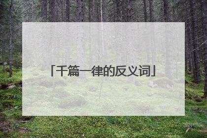 千篇一律的反义词