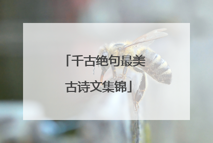 千古绝句最美古诗文集锦