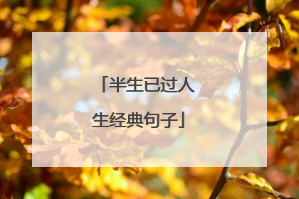 半生已过人生经典句子
