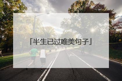 半生已过唯美句子