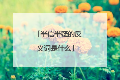 半信半疑的反义词是什么