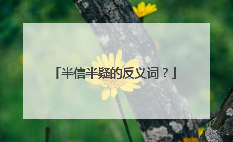 半信半疑的反义词?