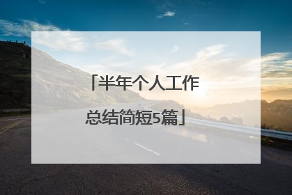 半年个人工作总结简短5篇