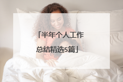 半年个人工作总结精选5篇