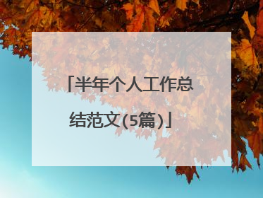 半年个人工作总结范文(5篇)