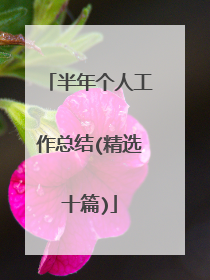 半年个人工作总结(精选十篇)