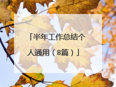半年工作总结个人通用(8篇)