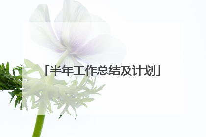 半年工作总结及计划