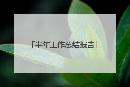 半年工作总结报告