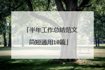 半年工作总结范文简短通用10篇