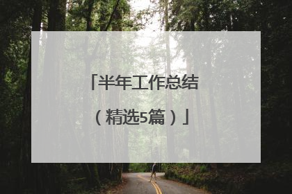 半年工作总结(精选5篇)
