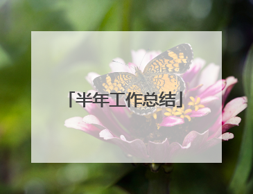 半年工作总结