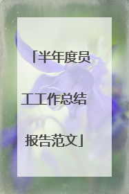 半年度员工工作总结报告范文