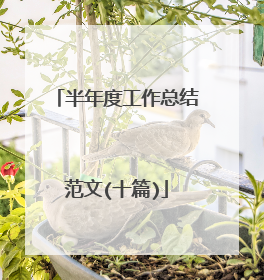 半年度工作总结范文(十篇)