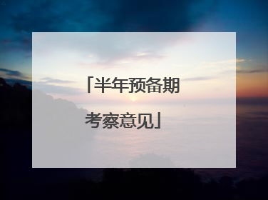 半年预备期考察意见