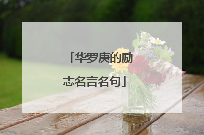 华罗庚的励志名言名句