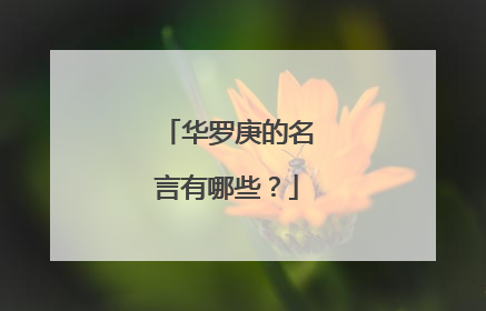 华罗庚的名言有哪些?