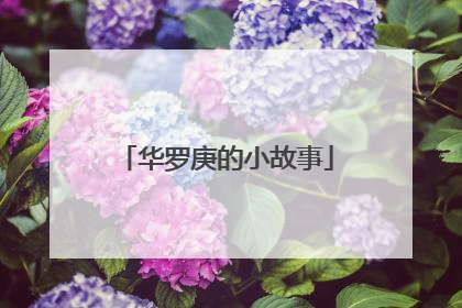 华罗庚的小故事