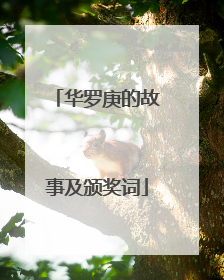 华罗庚的故事及颁奖词