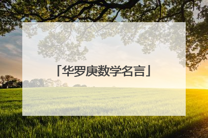 华罗庚数学名言