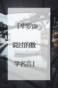 华罗庚说过的数学名言
