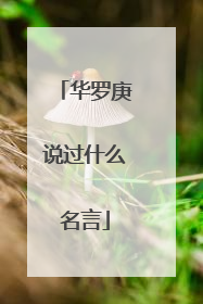 华罗庚说过什么名言