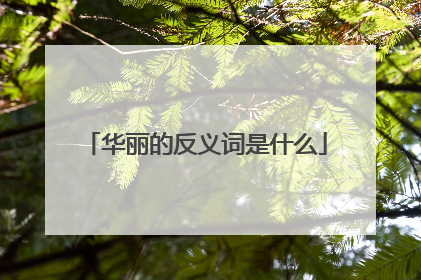 华丽的反义词是什么