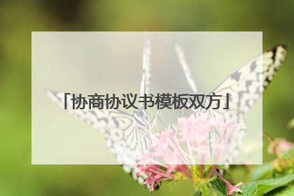 协商协议书模板双方