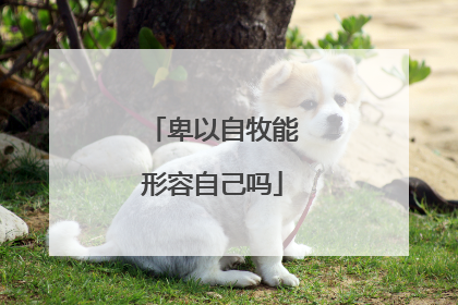 卑以自牧能形容自己吗