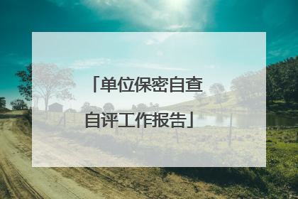 单位保密自查自评工作报告