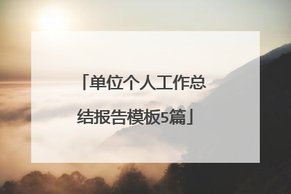 单位个人工作总结报告模板5篇