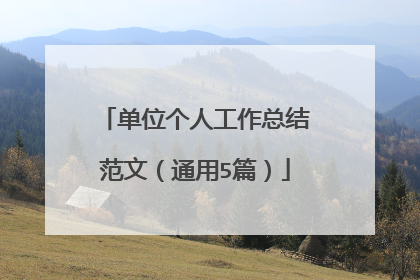 单位个人工作总结范文(通用5篇)