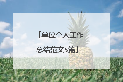 单位个人工作总结范文5篇