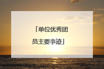 单位优秀团员主要事迹