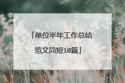 单位半年工作总结范文简短10篇