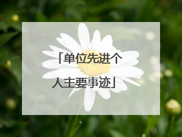 单位先进个人主要事迹