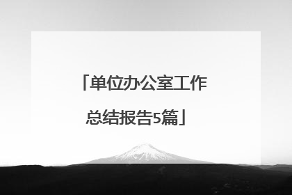 单位办公室工作总结报告5篇