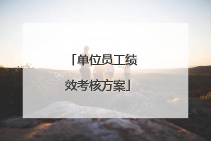 单位员工绩效考核方案