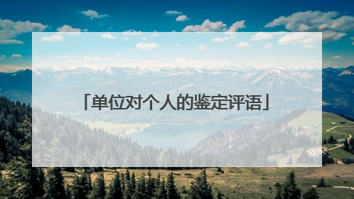 单位对个人的鉴定评语