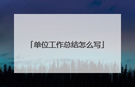 单位工作总结怎么写