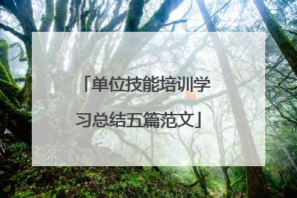 单位技能培训学习总结五篇范文