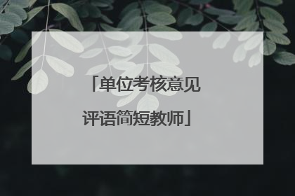 单位考核意见评语简短教师